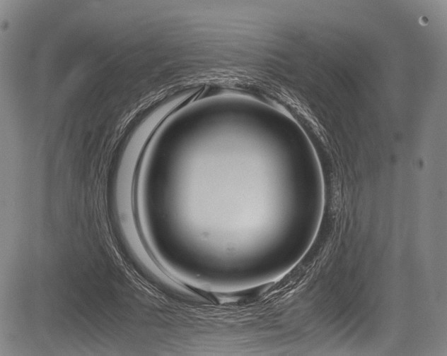 X0000084000681200702161133