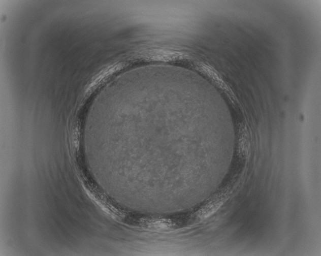 X0000084000683200702161133