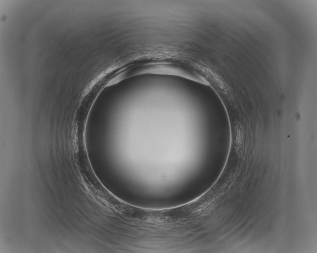 X0000084000684200702161133