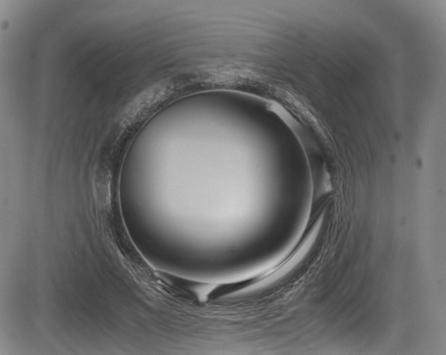 X0000084000685200702161133