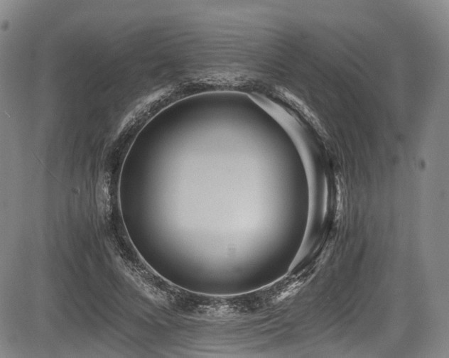 X0000084000688200702161133