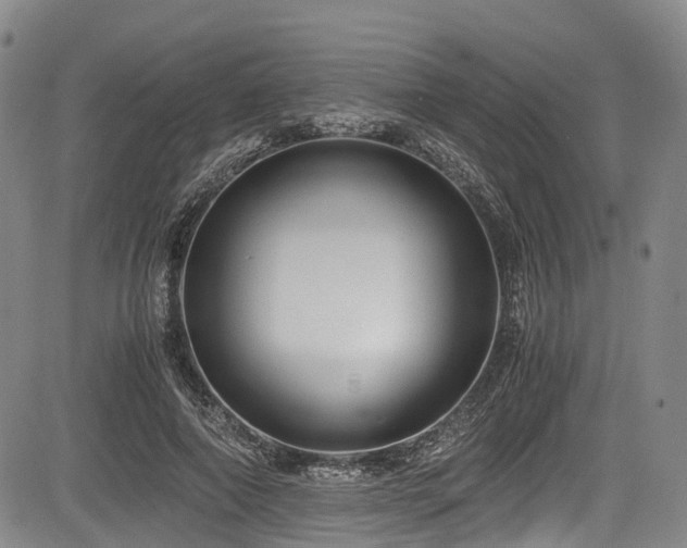 X0000084000690200702161133