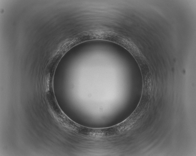 X0000084000694200702161133