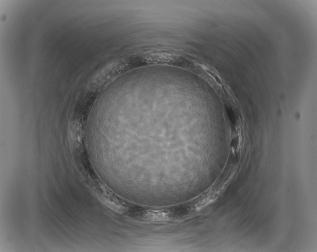 X0000084000701200702161133