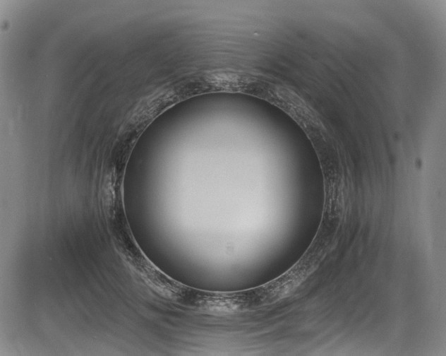 X0000084000702200702161133