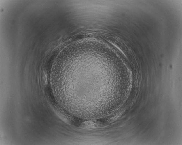 X0000084000703200702161133