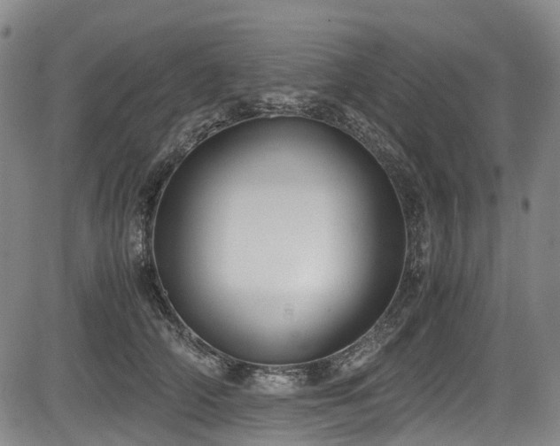X0000084000706200702161133