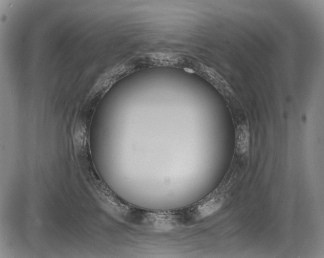 X0000084000713200702161133