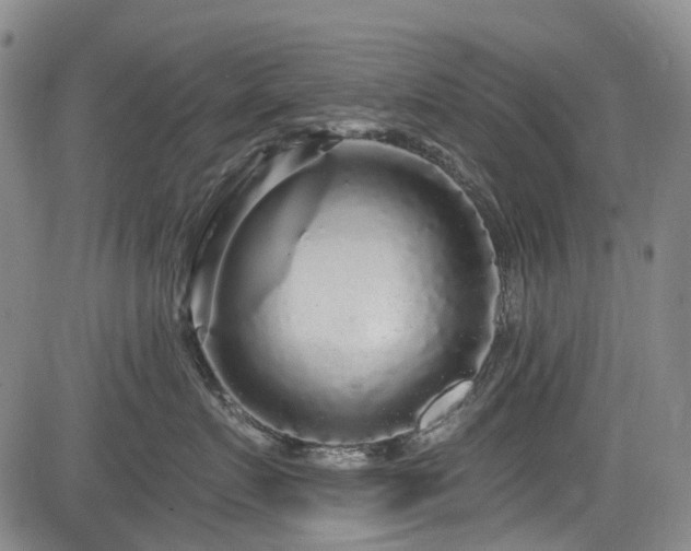 X0000084000719200702161132