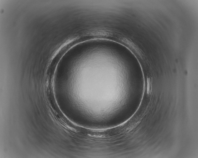 X0000084000723200702161132