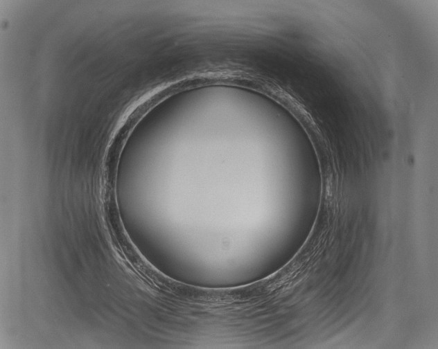 X0000084000724200702161132