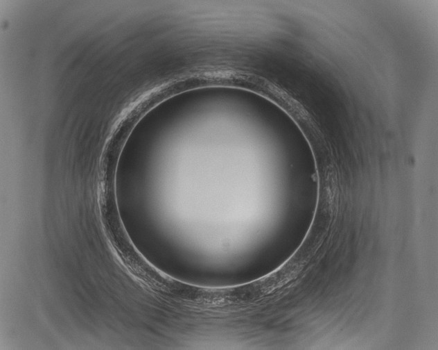 X0000084000728200702161132
