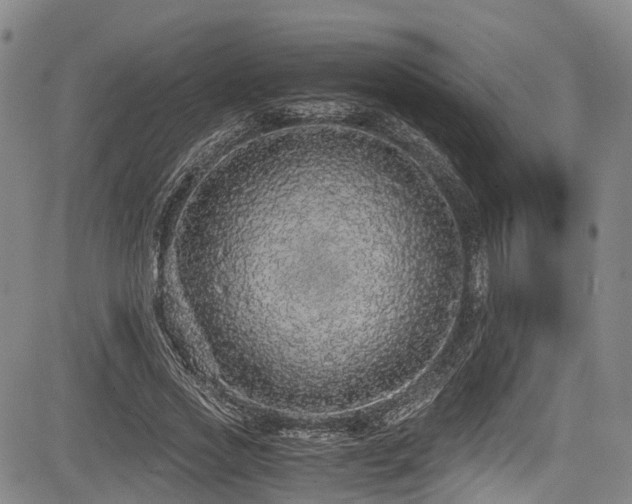 X0000084000733200702161132