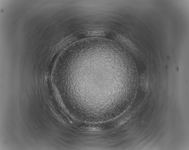 X0000084000741200702161132