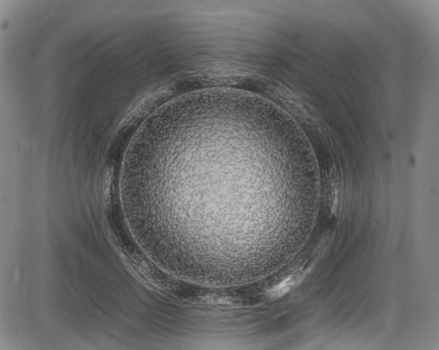 X0000084000742200702161132