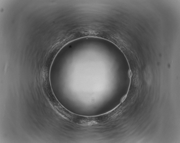 X0000084000747200702161132