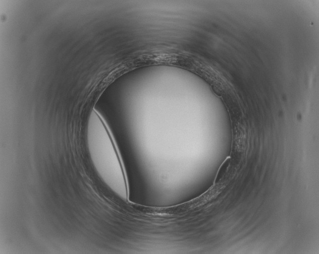 X0000084000748200702161132