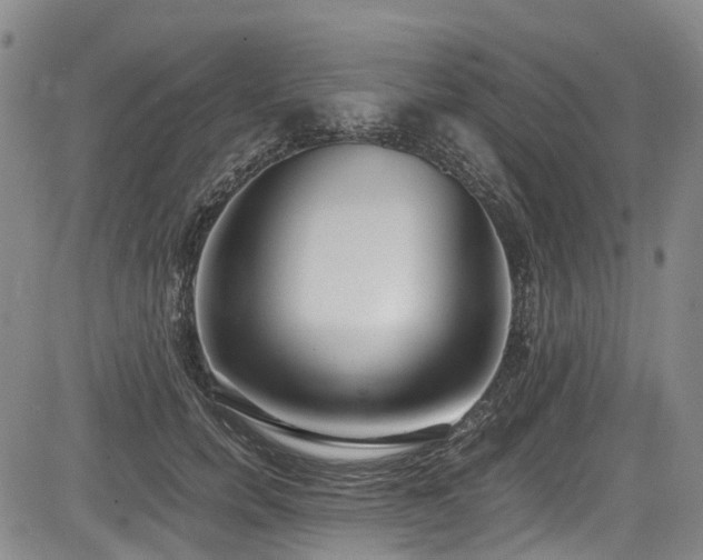X0000084000750200702161132