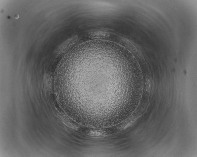 X0000084000753200702161132