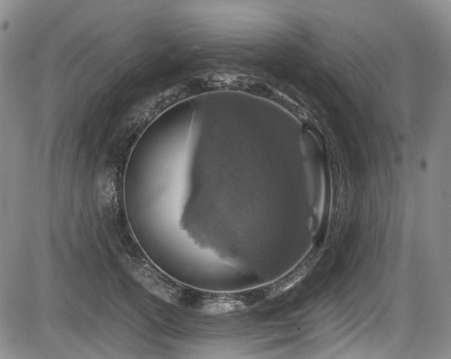 X0000084000754200702161132