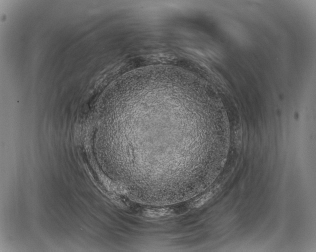 X0000084000757200702161132