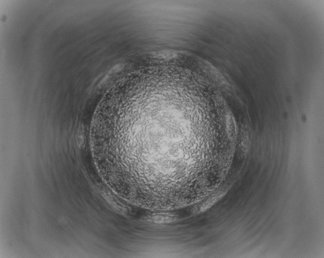 X0000084000758200702161132