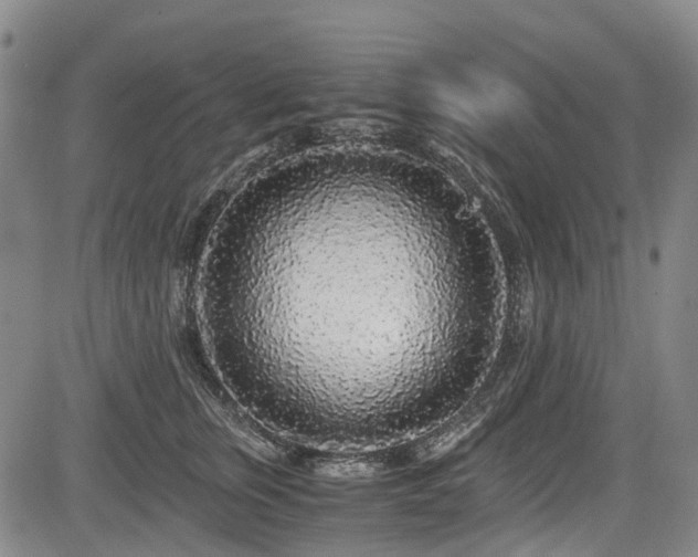 X0000084000759200702161132