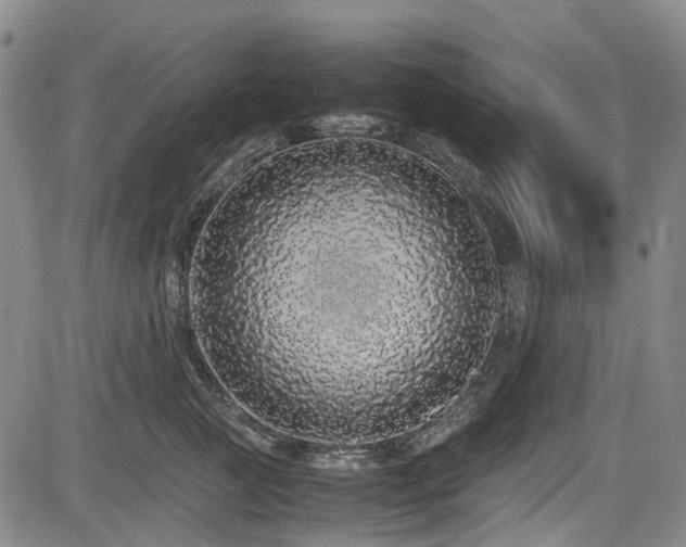 X0000084000761200702161132