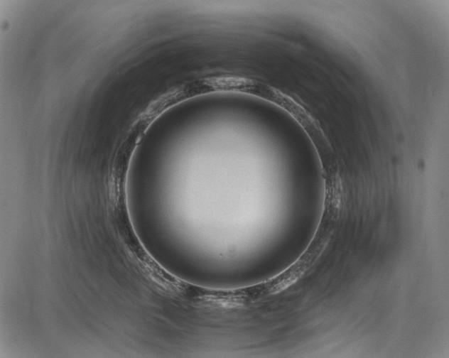 X0000084000763200702161132