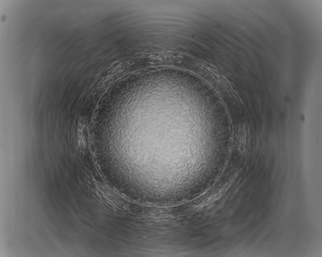 X0000084000770200702161132