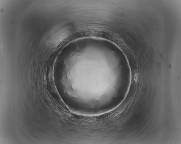 X0000084000771200702161132