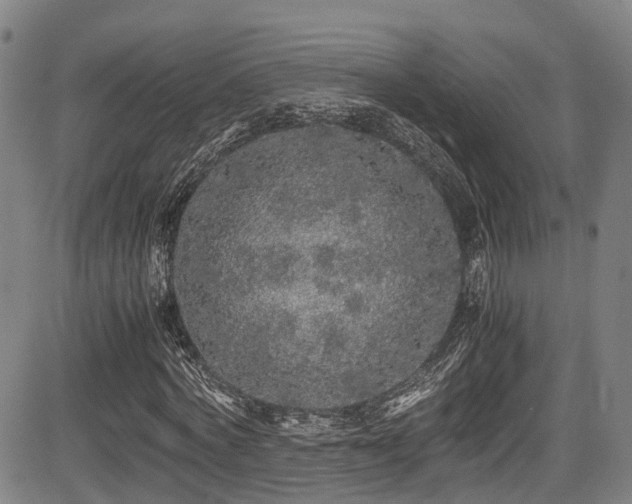 X0000084000772200702161132