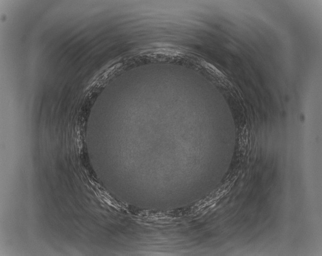 X0000084000774200702161132