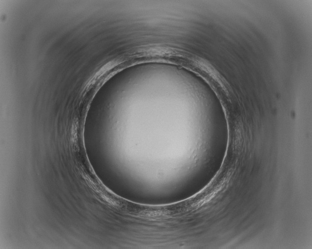 X0000084000778200702161131
