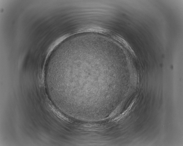 X0000084000780200702161131