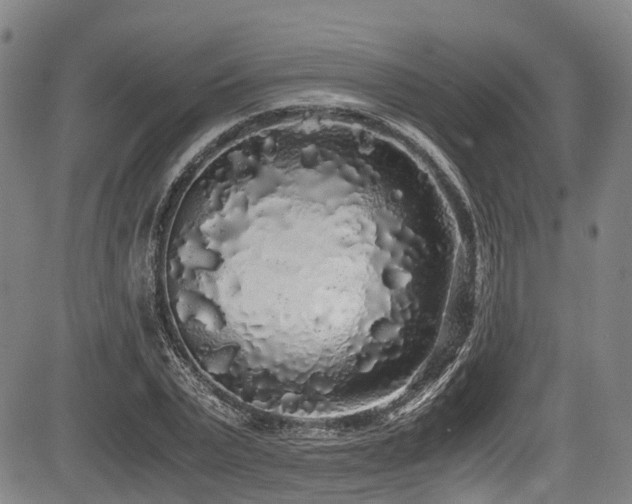 X0000084000783200702161131