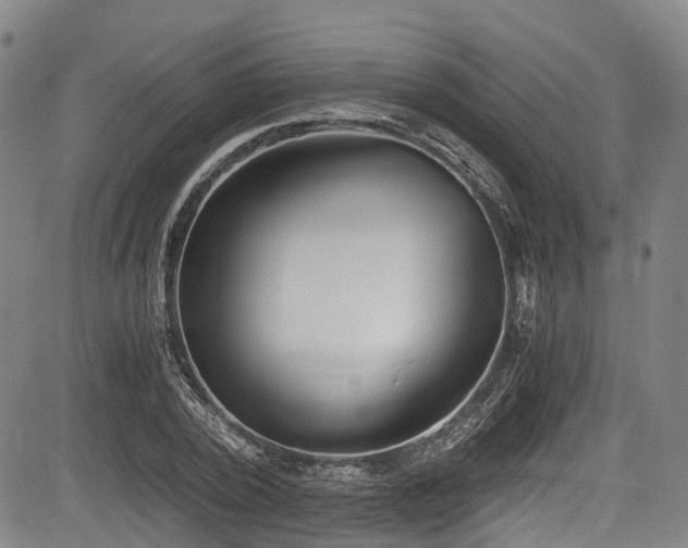 X0000084000784200702161131