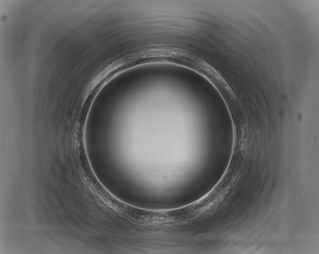 X0000084000786200702161131