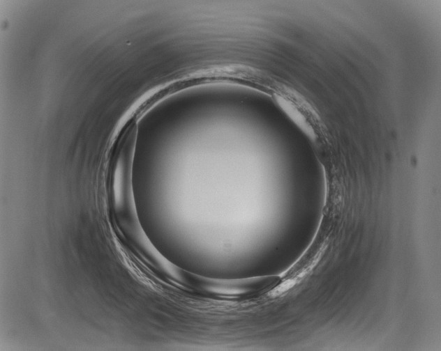 X0000084000792200702161131