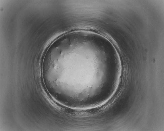 X0000084000795200702161131
