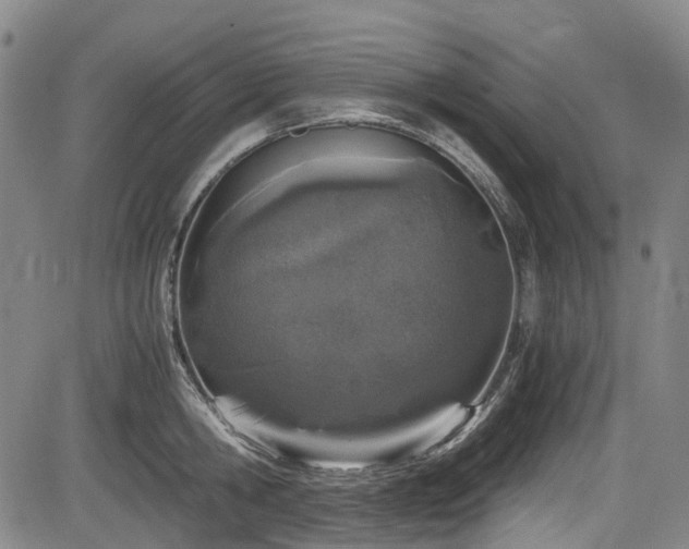 X0000084000806200702161131