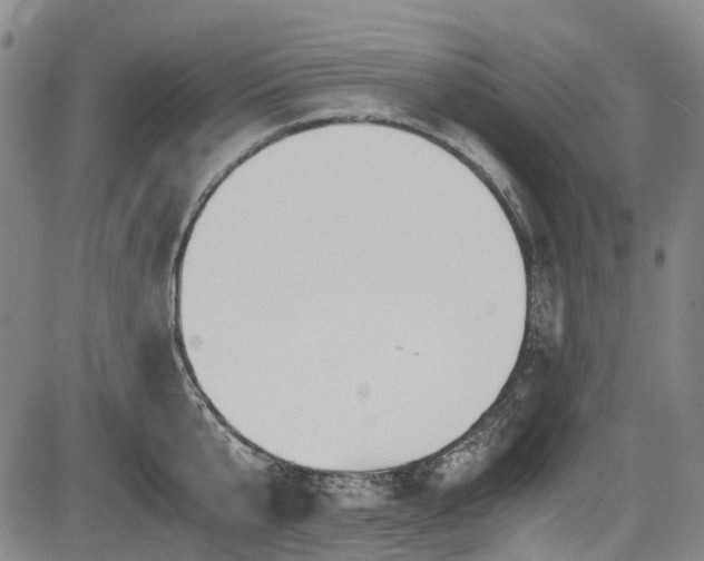 X0000084000807200702161131