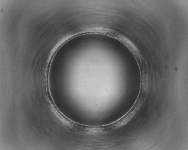 X0000084000808200702161131