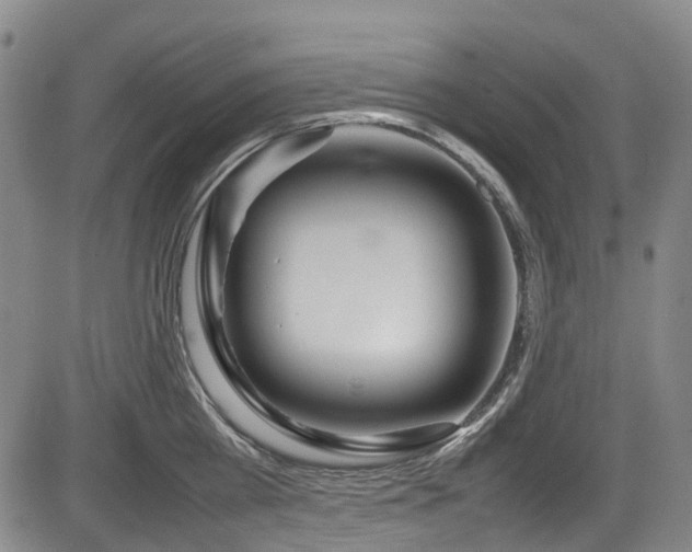 X0000084000809200702161131