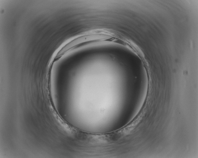 X0000084000816200702161131
