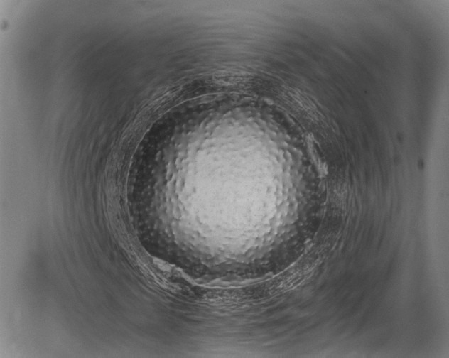 X0000084000817200702161130