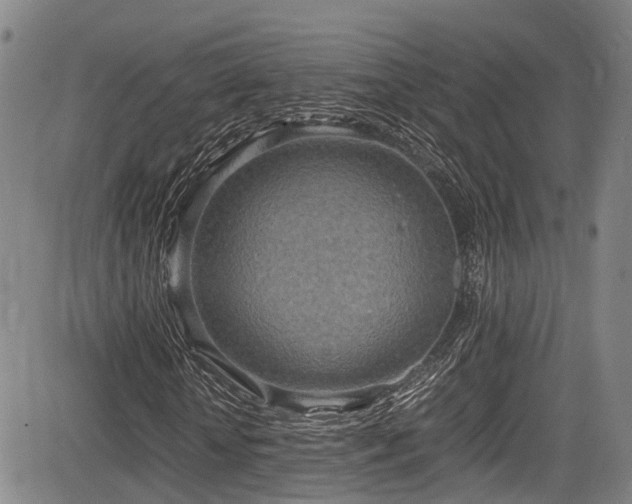 X0000084000818200702161130
