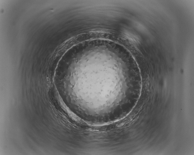 X0000084000821200702161130