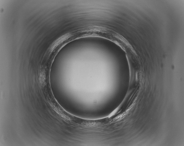X0000084000826200702161130