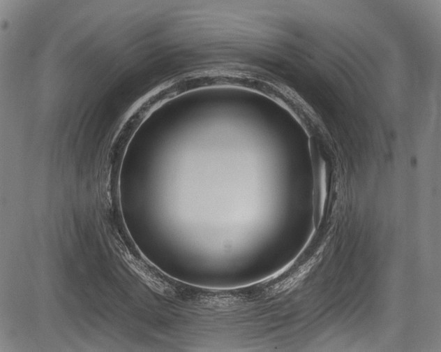 X0000084000830200702161130